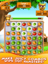 Garden Party - Puzzle Fruit Mania Image