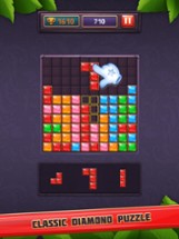 Jewel Block Puzzle Box 2024 Image