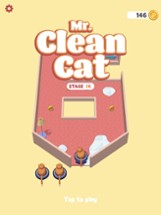 Mr. Clean Cat Image