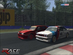 Race: The WTCC Game Image