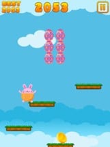 Fat Bunny Jump Image