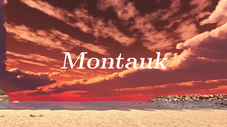 Montauk Game Cover
