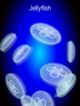 Jellyfish Simulator Image