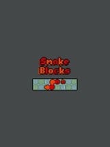 Snake Blocks Image