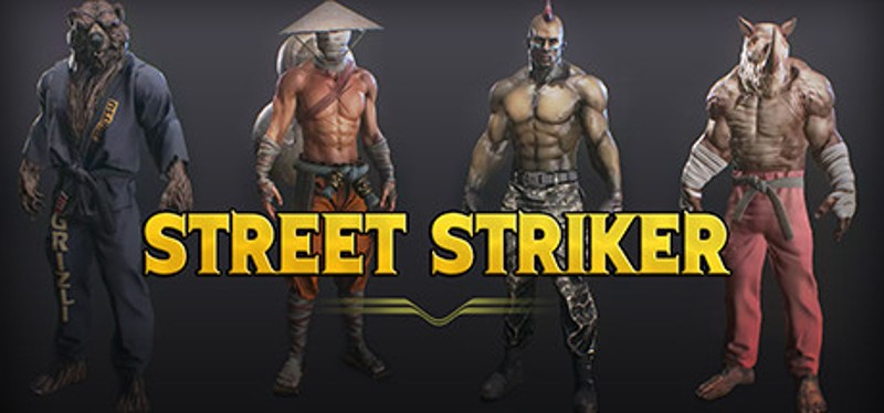 Street Striker Game Cover