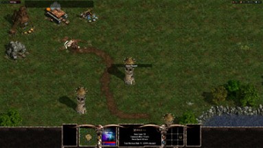 Warlords Battlecry III - Widescreen Patch Image