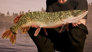 Fishing Sim World Image