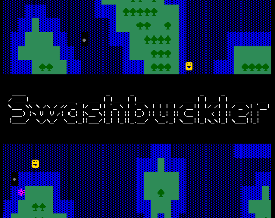 Swashbuckler Game Cover